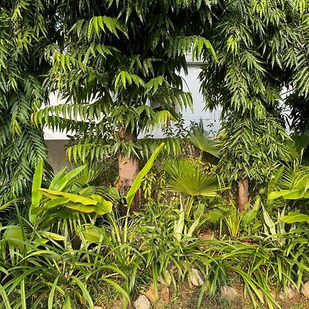 The Bougainvillea Cottage Farmstay Near Dehradun , 2 Bedroom Private Cottage Next To Fields And Orchards With Hill Views 外观 照片
