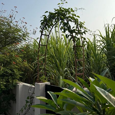 The Bougainvillea Cottage Farmstay Near Dehradun , 2 Bedroom Private Cottage Next To Fields And Orchards With Hill Views 外观 照片