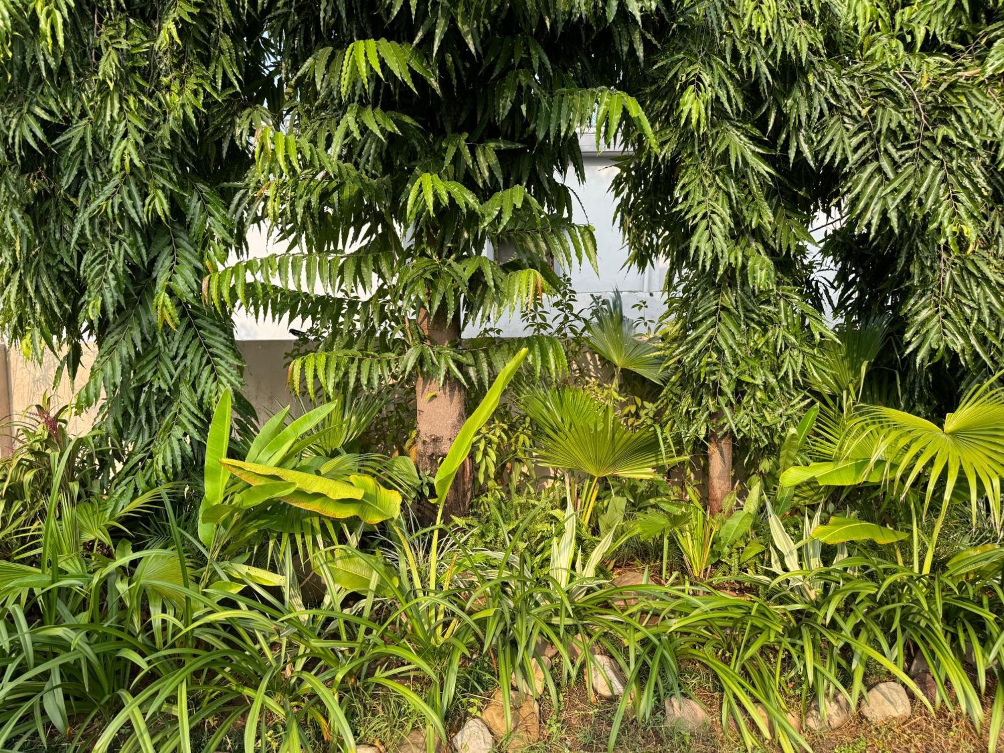 The Bougainvillea Cottage Farmstay Near Dehradun , 2 Bedroom Private Cottage Next To Fields And Orchards With Hill Views 外观 照片
