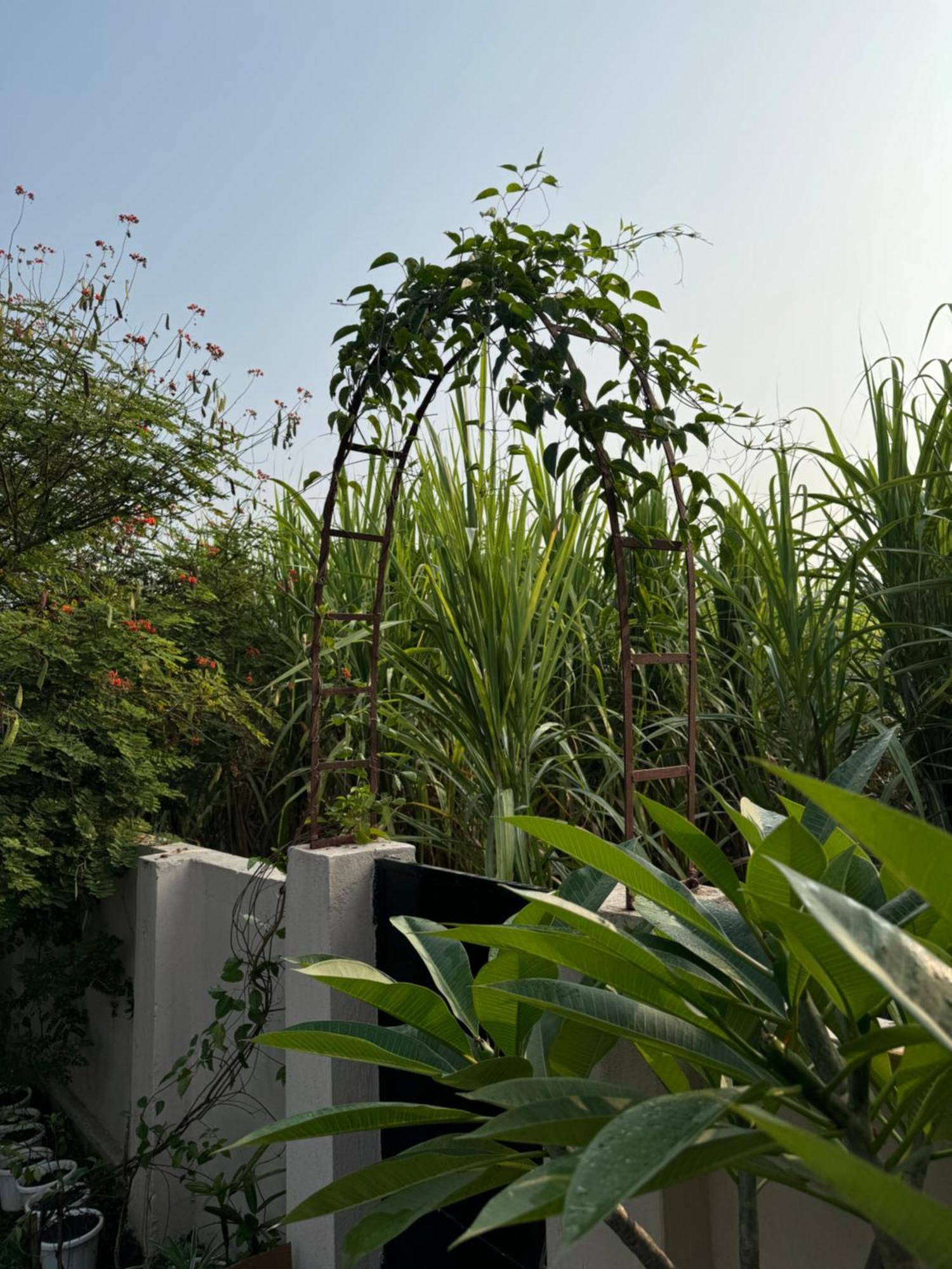 The Bougainvillea Cottage Farmstay Near Dehradun , 2 Bedroom Private Cottage Next To Fields And Orchards With Hill Views 外观 照片