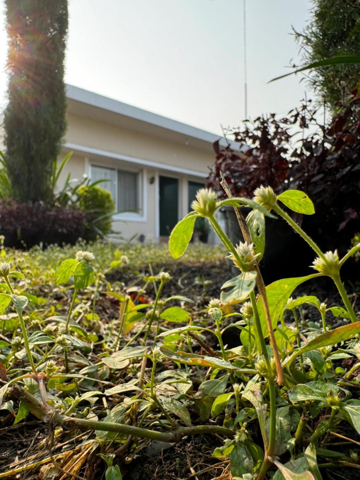 The Bougainvillea Cottage Farmstay Near Dehradun , 2 Bedroom Private Cottage Next To Fields And Orchards With Hill Views 外观 照片