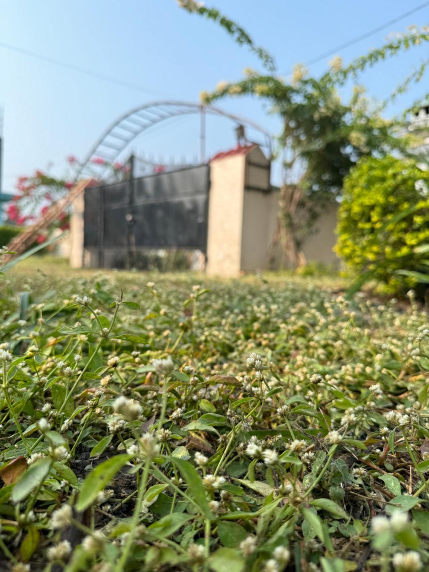 The Bougainvillea Cottage Farmstay Near Dehradun , 2 Bedroom Private Cottage Next To Fields And Orchards With Hill Views 外观 照片